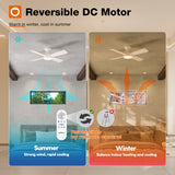 Addlon Ceiling Fans with Lights, 42 Inch Low Profile Ceiling Fan with Light And Remote Control, Flush Mount, Reversible, 3CCT Dimmable 4 Blades White/Nickel/Black Small Ceiling Fan for Bedroom Indoor/Outdoor Use